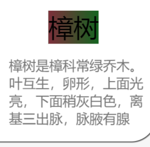 image-20240518113322383