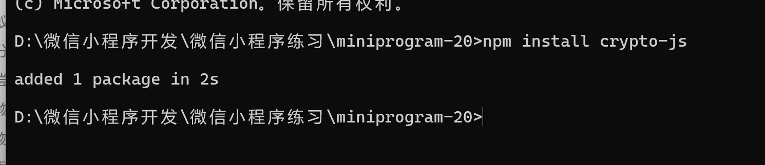image-20240519204321372