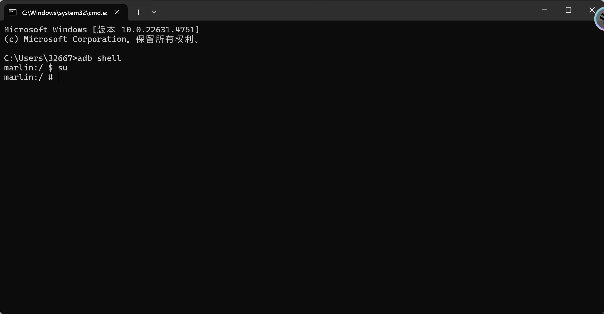 image-20250119232851717